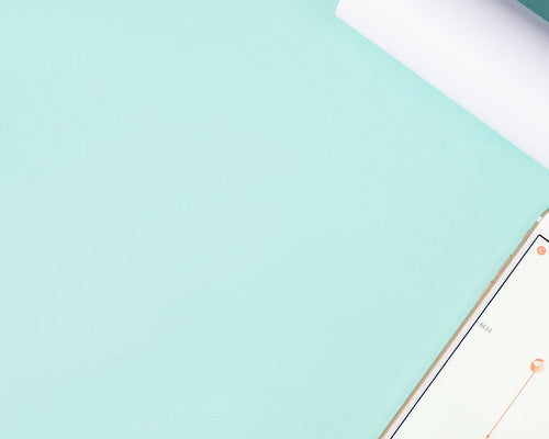 Pelvic Floor Trainers