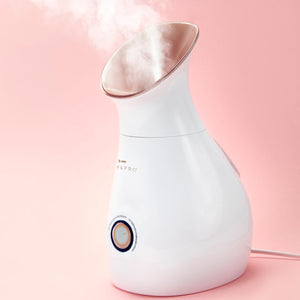 STYLPRO 4-in-1 Ionic Facial Steamer