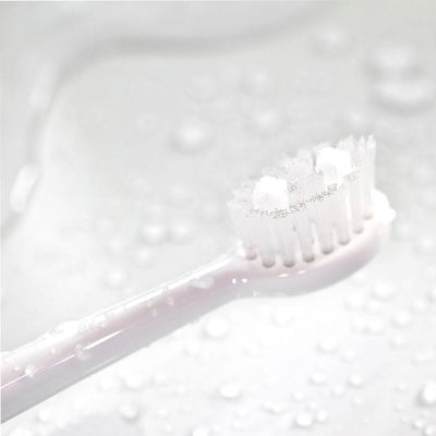 Spotlight Oral Care Sonic Toothbrush Replacement Heads